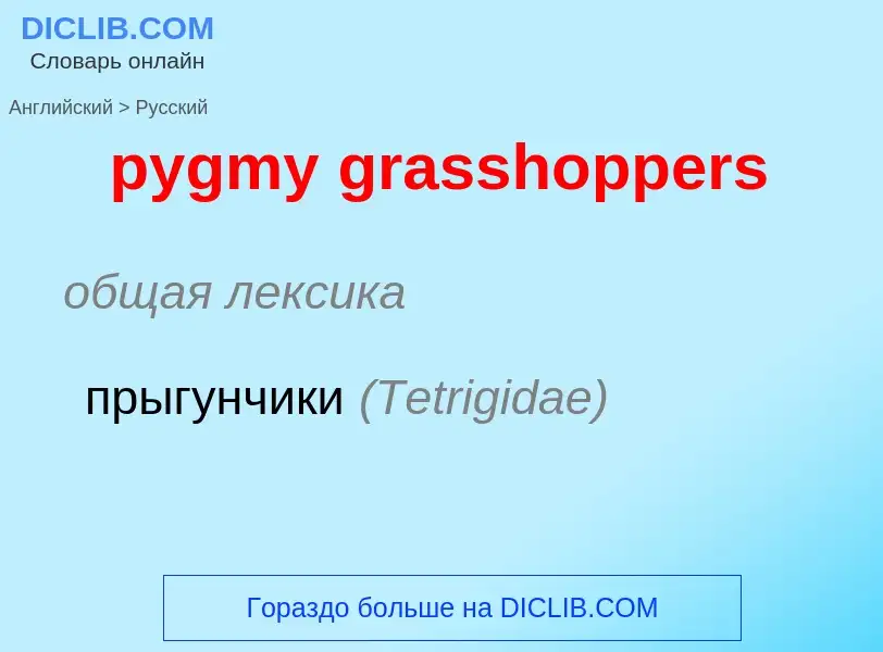 Μετάφραση του &#39pygmy grasshoppers&#39 σε Ρωσικά