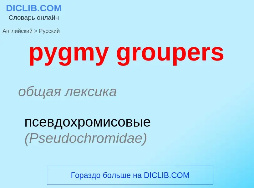 Μετάφραση του &#39pygmy groupers&#39 σε Ρωσικά