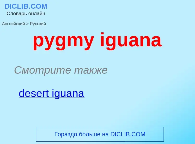 Μετάφραση του &#39pygmy iguana&#39 σε Ρωσικά