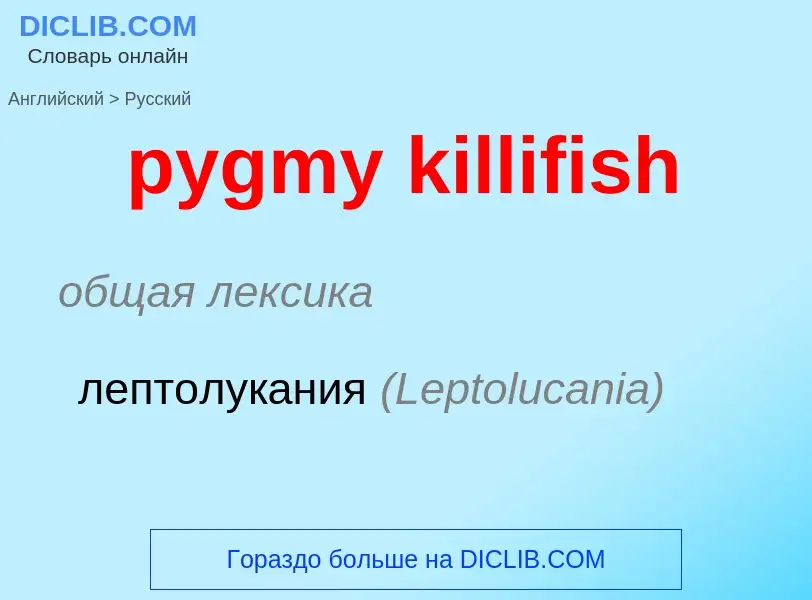 Как переводится pygmy killifish на Русский язык