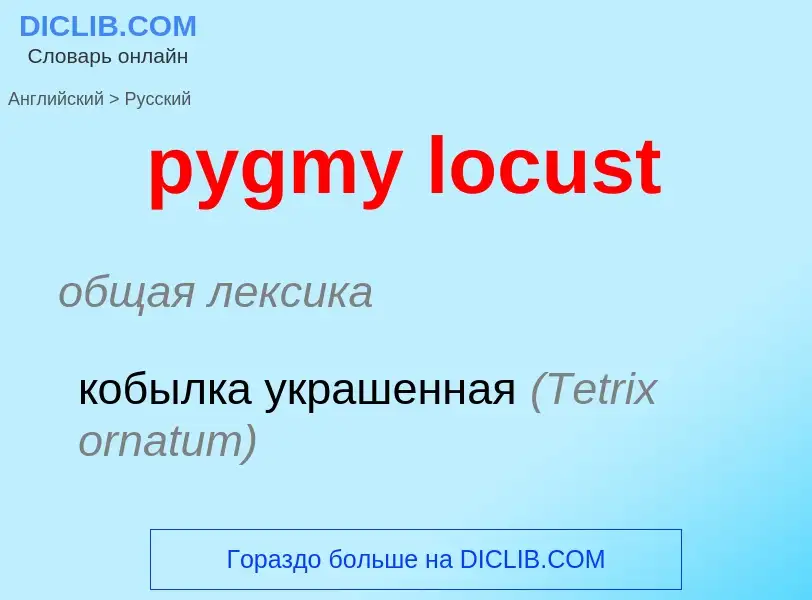 Как переводится pygmy locust на Русский язык