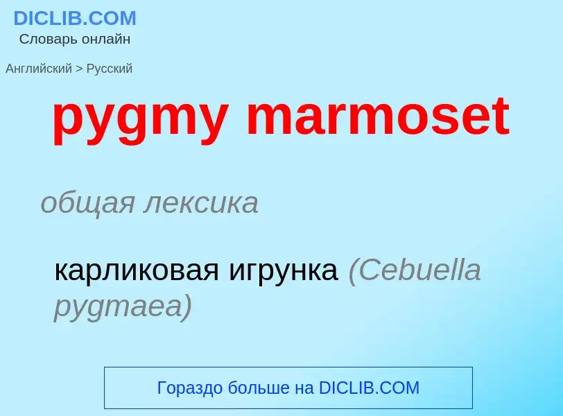 Μετάφραση του &#39pygmy marmoset&#39 σε Ρωσικά