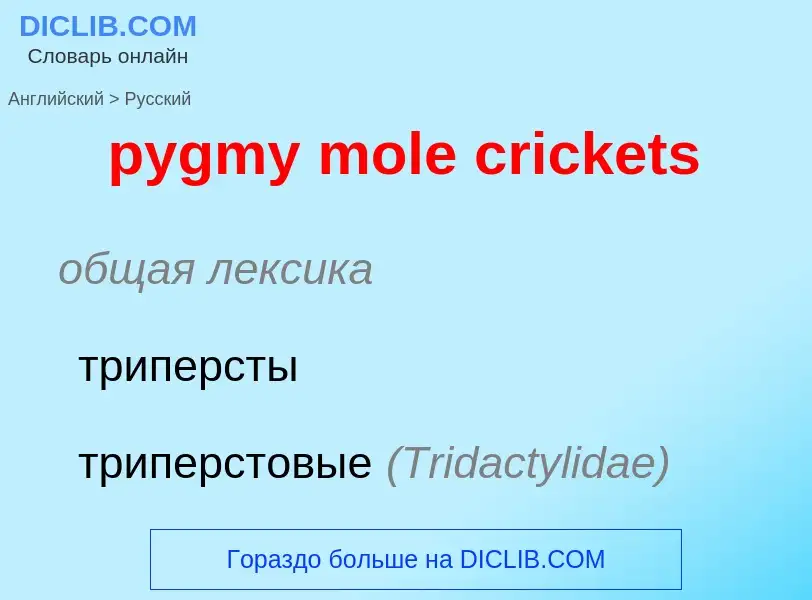 Μετάφραση του &#39pygmy mole crickets&#39 σε Ρωσικά