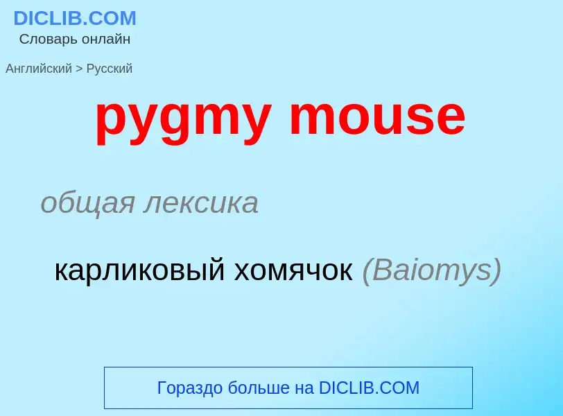 Μετάφραση του &#39pygmy mouse&#39 σε Ρωσικά