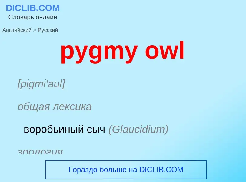 Μετάφραση του &#39pygmy owl&#39 σε Ρωσικά