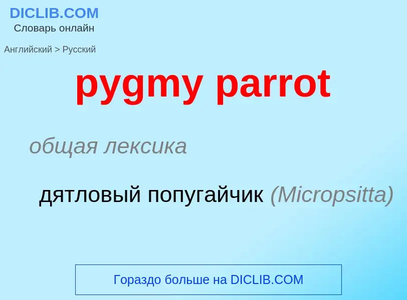 Как переводится pygmy parrot на Русский язык