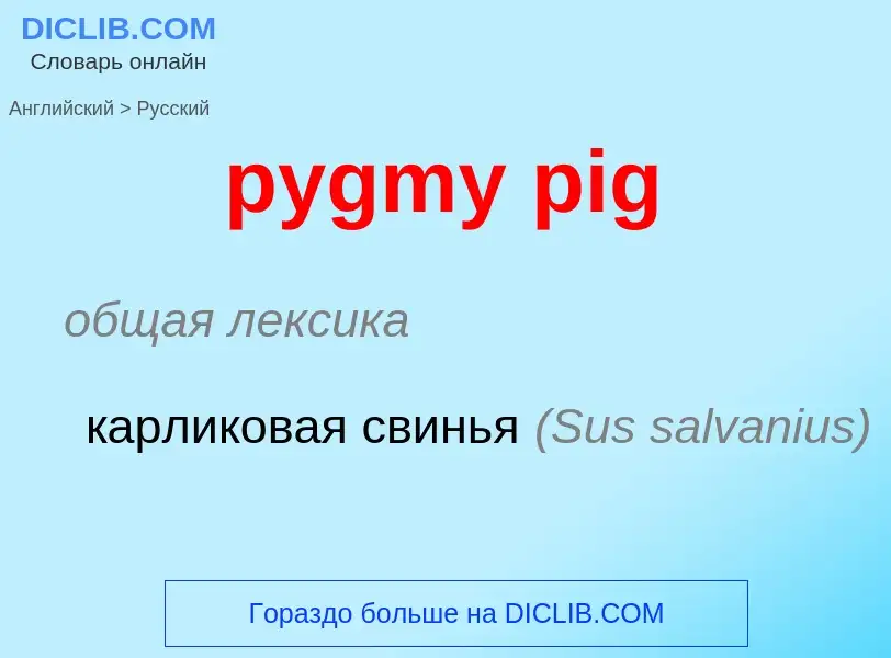 Μετάφραση του &#39pygmy pig&#39 σε Ρωσικά