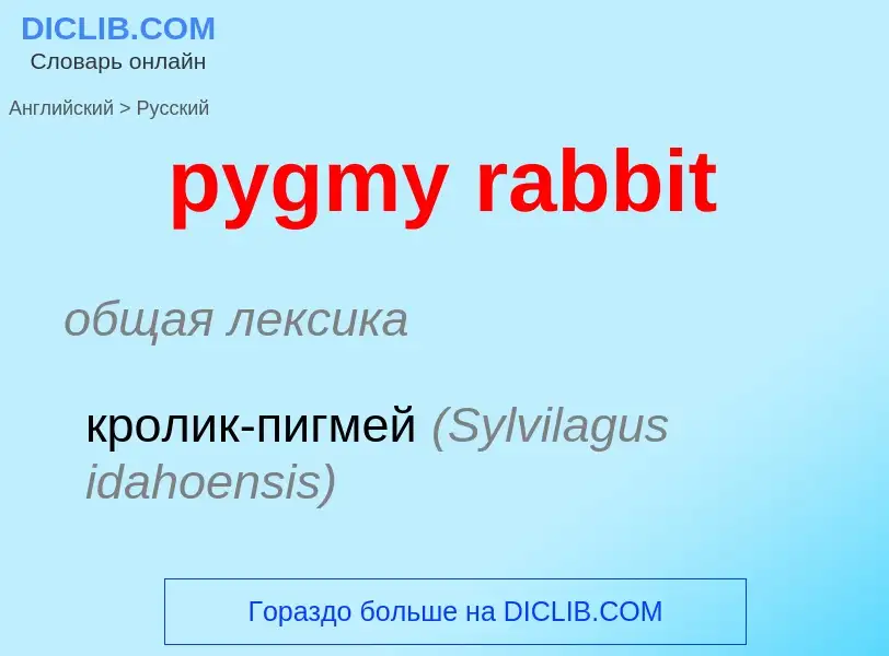 Μετάφραση του &#39pygmy rabbit&#39 σε Ρωσικά