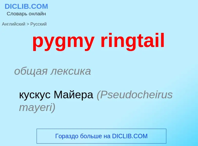 Как переводится pygmy ringtail на Русский язык