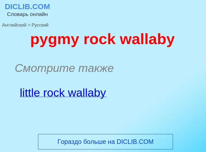 Как переводится pygmy rock wallaby на Русский язык