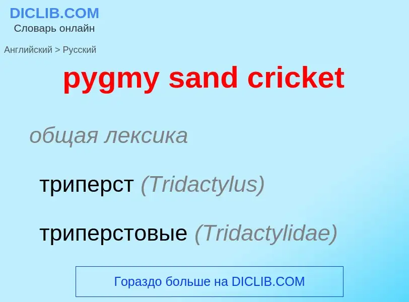 Μετάφραση του &#39pygmy sand cricket&#39 σε Ρωσικά