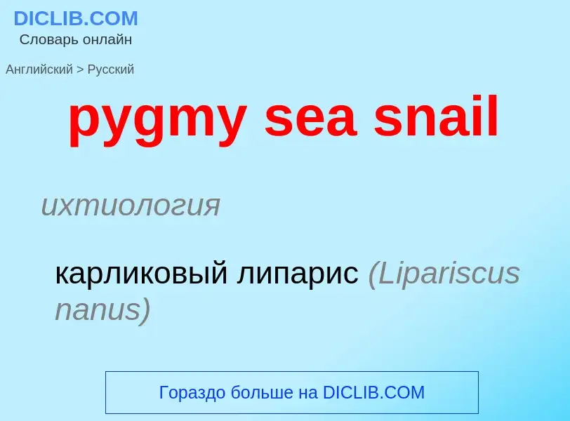 Μετάφραση του &#39pygmy sea snail&#39 σε Ρωσικά