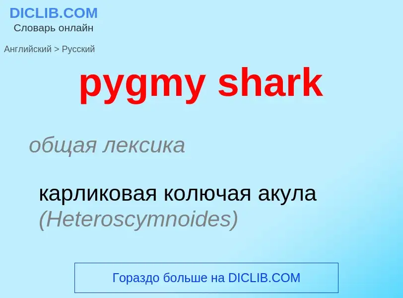 Как переводится pygmy shark на Русский язык