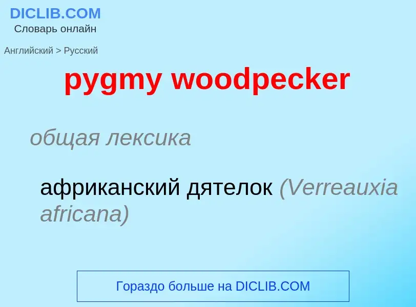 Как переводится pygmy woodpecker на Русский язык