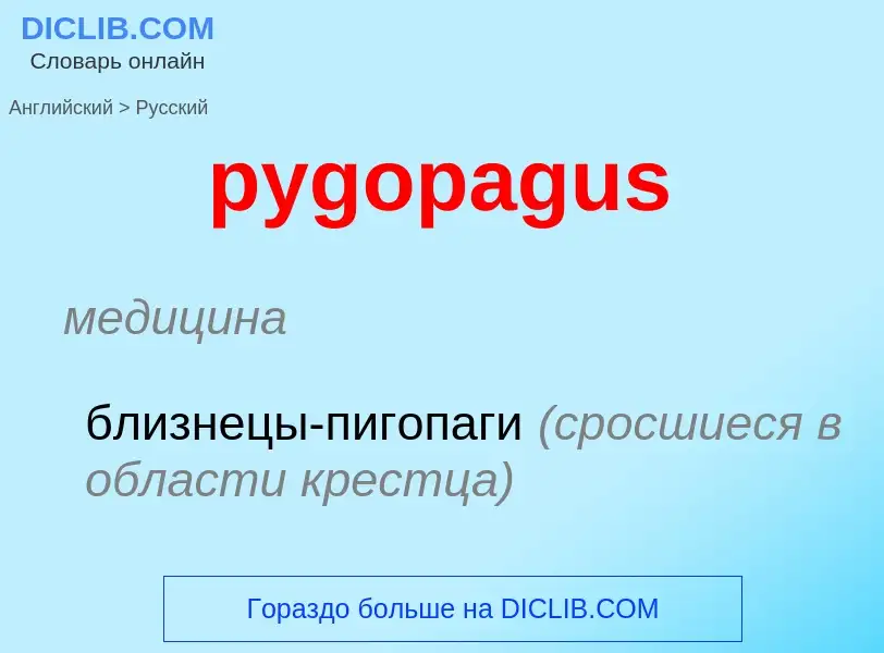 Как переводится pygopagus на Русский язык