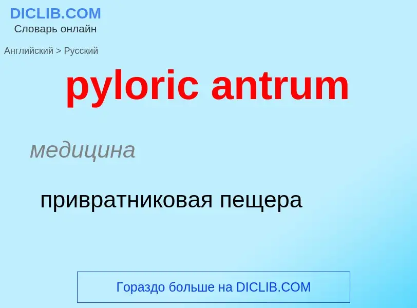 ¿Cómo se dice pyloric antrum en Ruso? Traducción de &#39pyloric antrum&#39 al Ruso