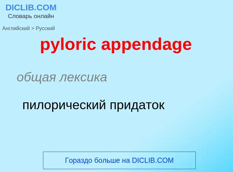 Μετάφραση του &#39pyloric appendage&#39 σε Ρωσικά