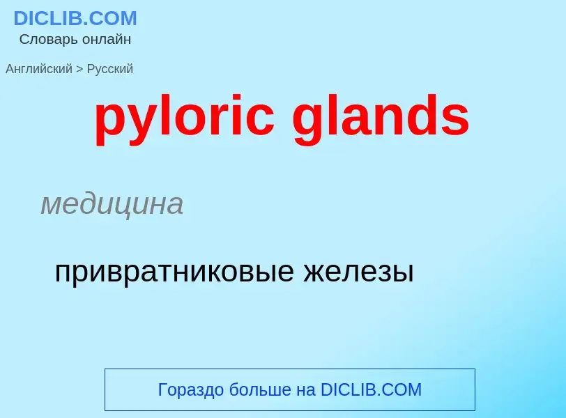 Μετάφραση του &#39pyloric glands&#39 σε Ρωσικά