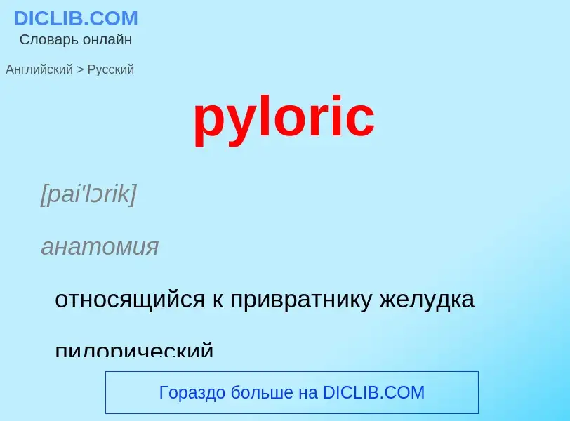 Como se diz pyloric em Russo? Tradução de &#39pyloric&#39 em Russo