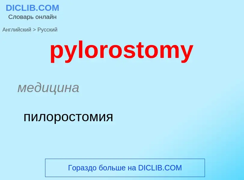 Como se diz pylorostomy em Russo? Tradução de &#39pylorostomy&#39 em Russo