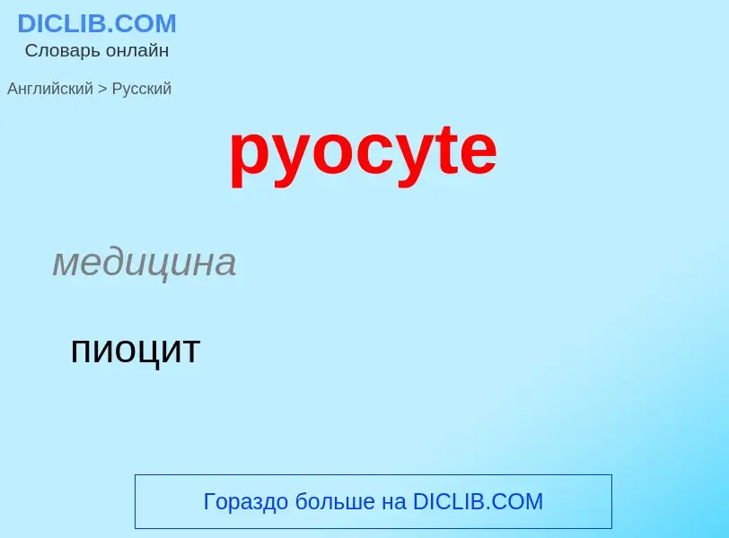 Как переводится pyocyte на Русский язык