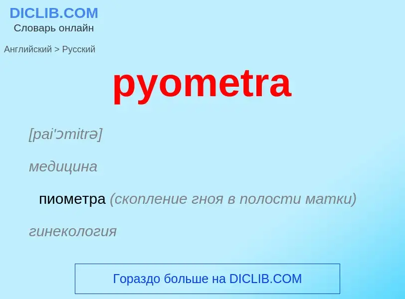 Как переводится pyometra на Русский язык