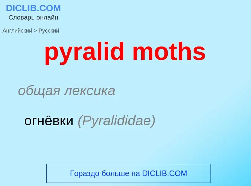 Μετάφραση του &#39pyralid moths&#39 σε Ρωσικά