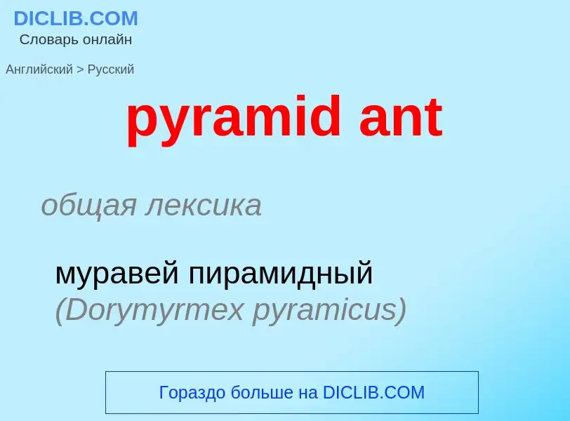 Как переводится pyramid ant на Русский язык