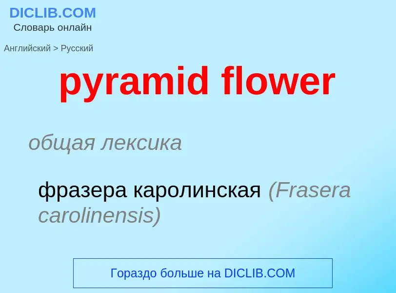 Μετάφραση του &#39pyramid flower&#39 σε Ρωσικά