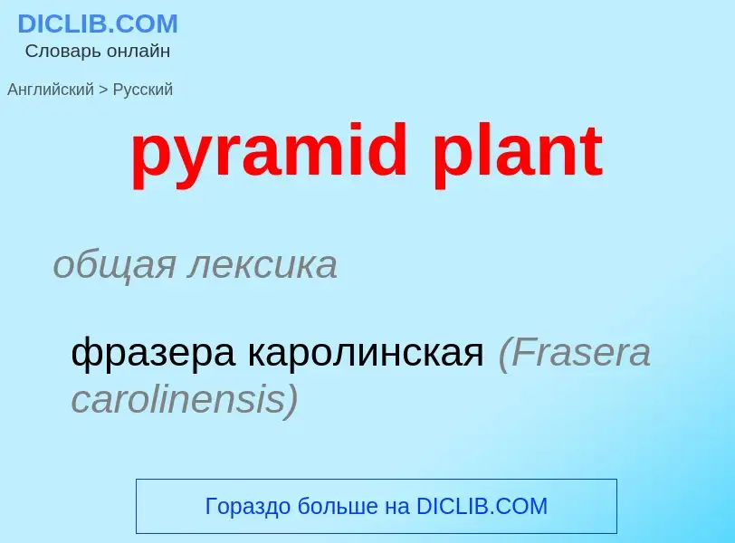 Как переводится pyramid plant на Русский язык