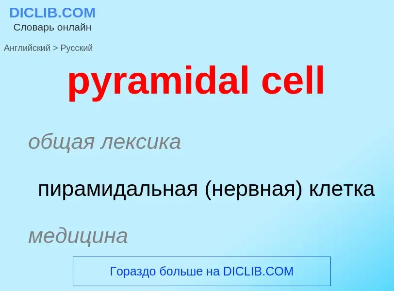 Μετάφραση του &#39pyramidal cell&#39 σε Ρωσικά