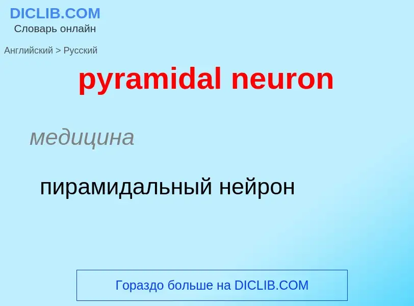 Как переводится pyramidal neuron на Русский язык