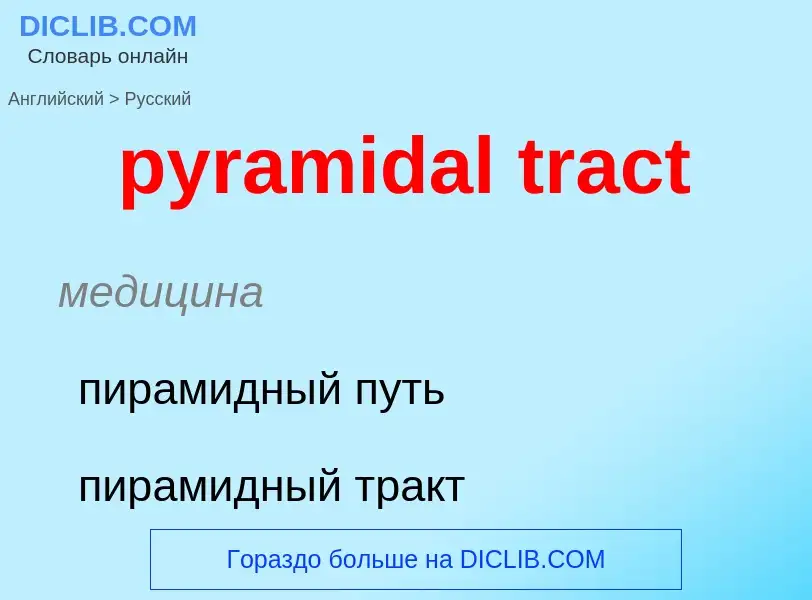 Как переводится pyramidal tract на Русский язык