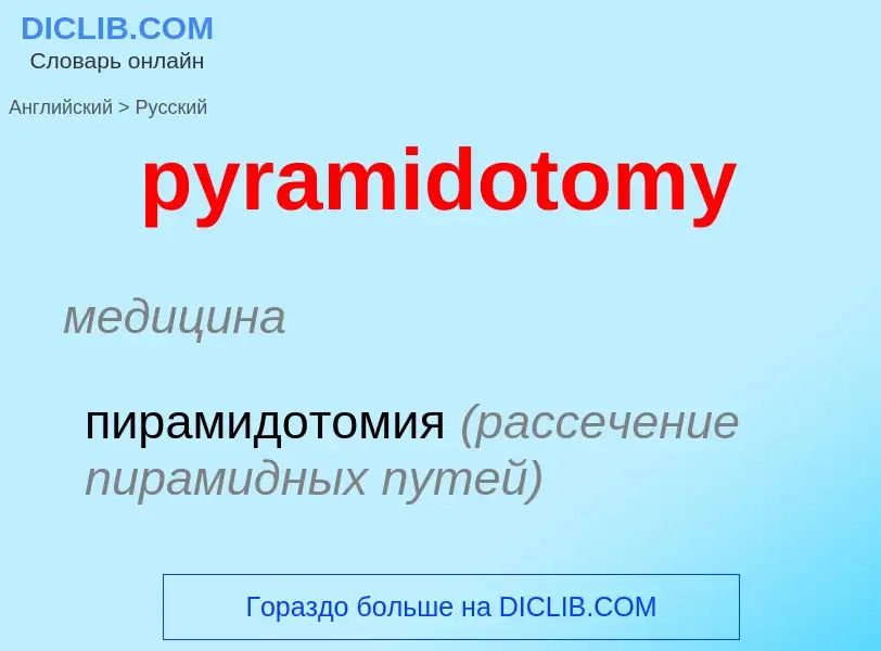 Как переводится pyramidotomy на Русский язык