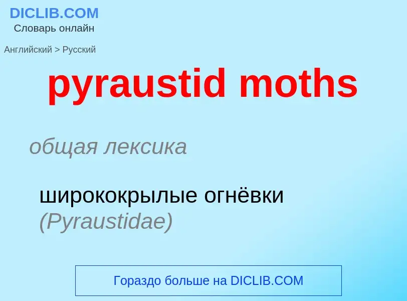 Как переводится pyraustid moths на Русский язык