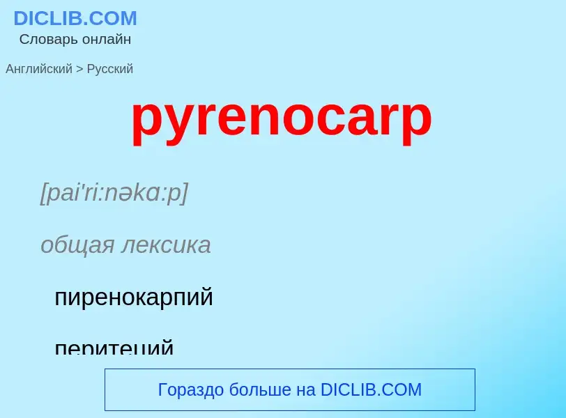 Как переводится pyrenocarp на Русский язык