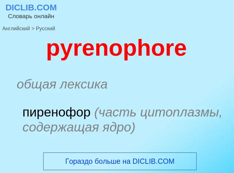 Как переводится pyrenophore на Русский язык