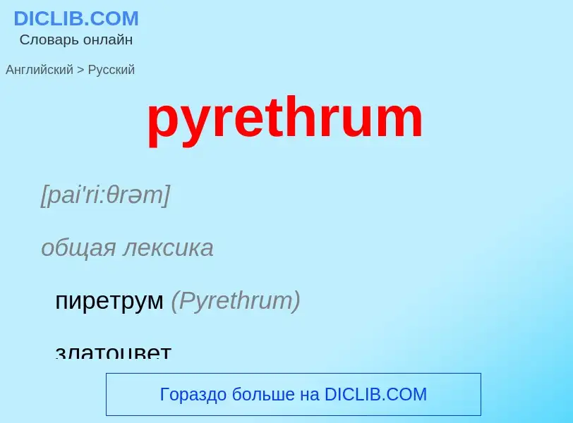 Как переводится pyrethrum на Русский язык