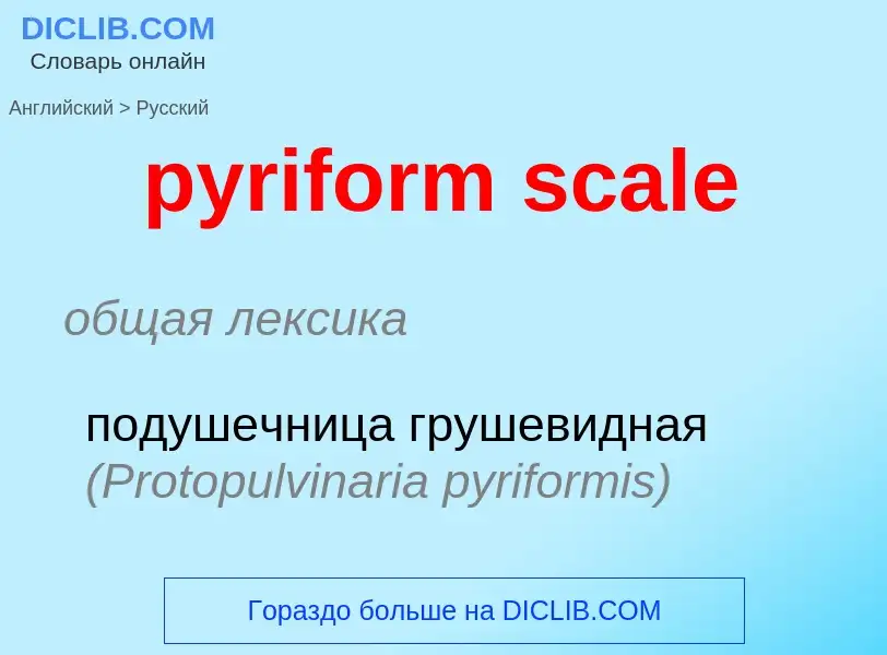 Как переводится pyriform scale на Русский язык