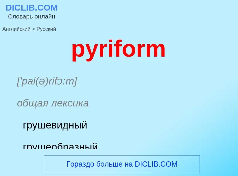 Как переводится pyriform на Русский язык