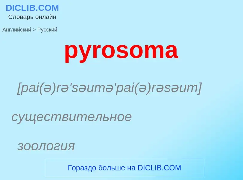 Как переводится pyrosoma на Русский язык