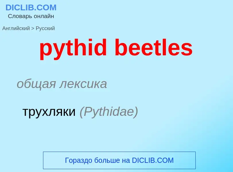 Μετάφραση του &#39pythid beetles&#39 σε Ρωσικά