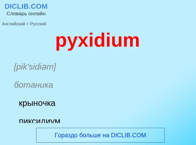 Как переводится pyxidium на Русский язык