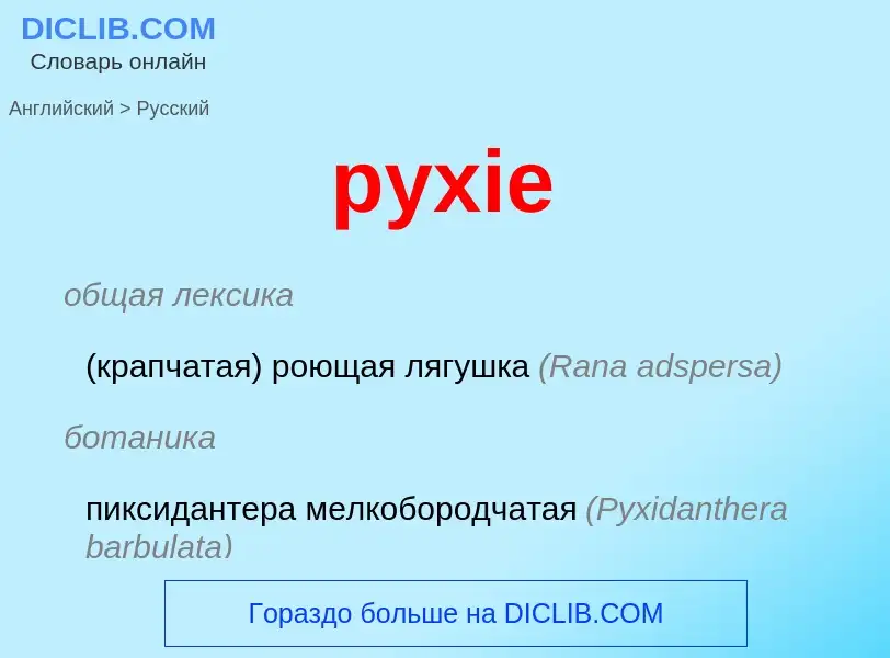 Μετάφραση του &#39pyxie&#39 σε Ρωσικά