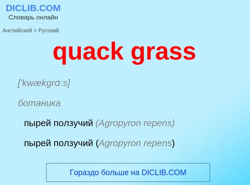 Μετάφραση του &#39quack grass&#39 σε Ρωσικά