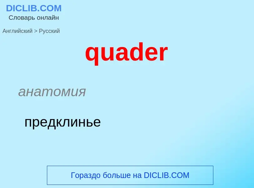 Μετάφραση του &#39quader&#39 σε Ρωσικά