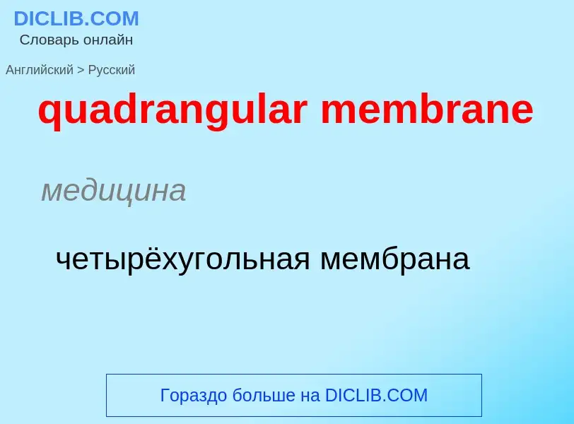 Μετάφραση του &#39quadrangular membrane&#39 σε Ρωσικά