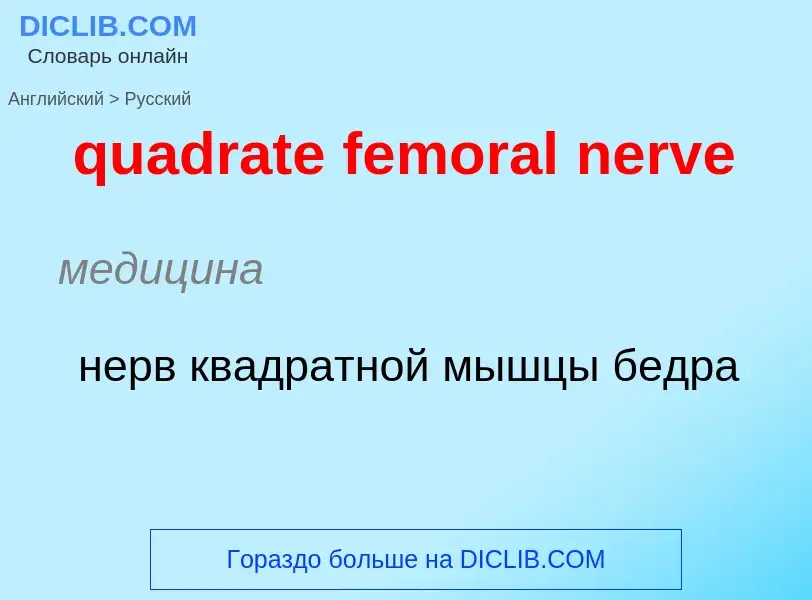 Μετάφραση του &#39quadrate femoral nerve&#39 σε Ρωσικά