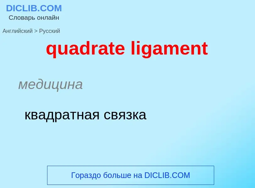 Μετάφραση του &#39quadrate ligament&#39 σε Ρωσικά