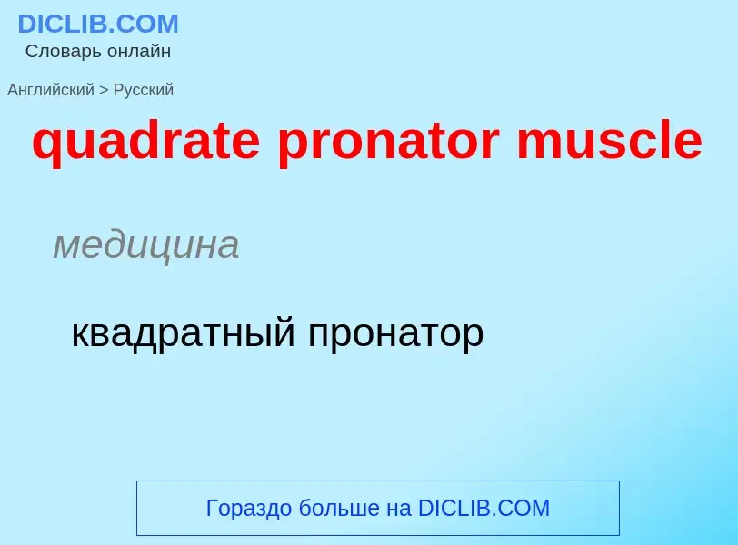 Μετάφραση του &#39quadrate pronator muscle&#39 σε Ρωσικά